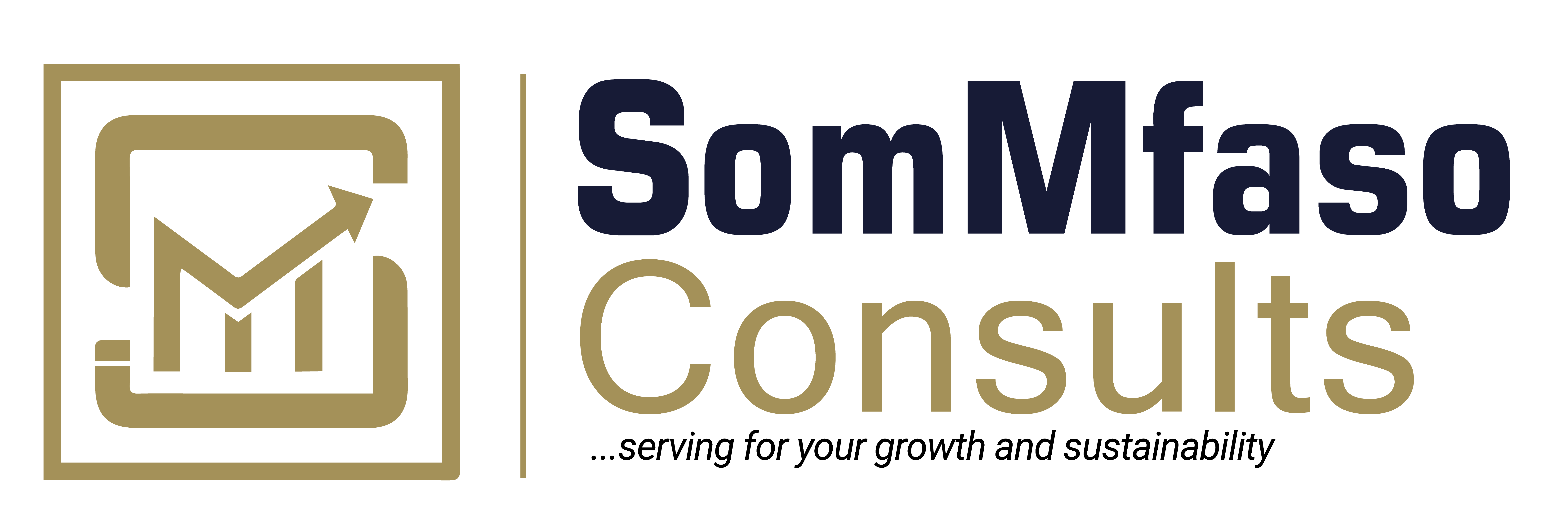 SomMfaso Consults Limited